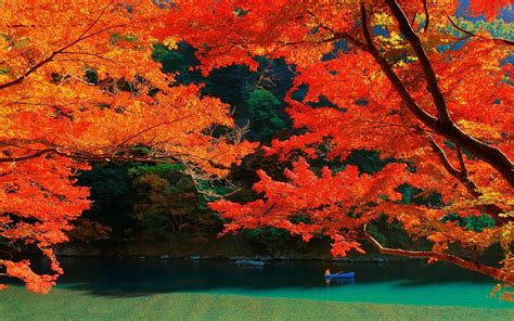 Nature Landscape Lake Trees Fall Colorful Kyoto