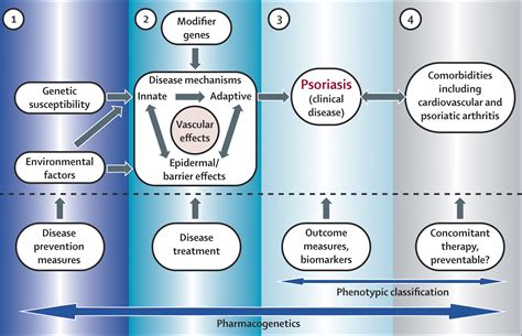 Pathogenesis And Clinical Features Of Psoriasis The Lancet