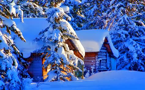 Winter Snow Nature House Trees Forest Landscape