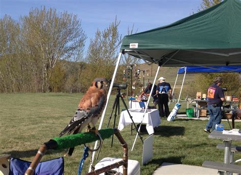 Birding Is Fun Boise Bird Festival Idahos Pledge To Fledge Event