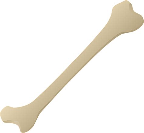 Bone Carving Leg Animal · Free Vector Graphic On Pixabay