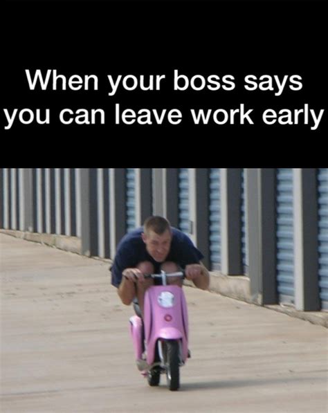 When Your Boss Says You Can Leave Work Early Rfunny