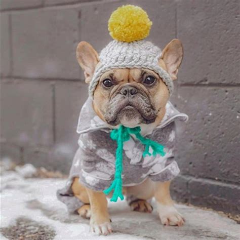 Dog Winter Knitted Hat For French Bulldogs Pom Pom Dog Hat 30 Off