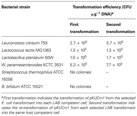 Frontiers Characterization Of A Minimal Pkw2124 Replicon From Weissella Cibaria Klc140 And Its
