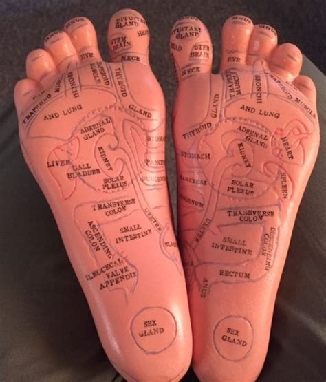 Try A Certified Reflexology Session Today Healing Place