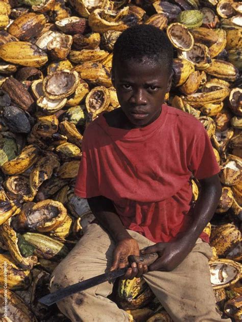 Find Out More About Child Labor In The Cocoa Sector Oroverde