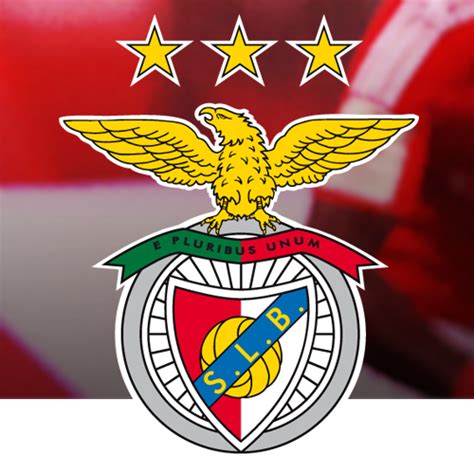 Simbolo do sport lisboa e benfica. 'Bandeiras e Tarjas com o Símbolo do Benfica!': desde 1904 ...