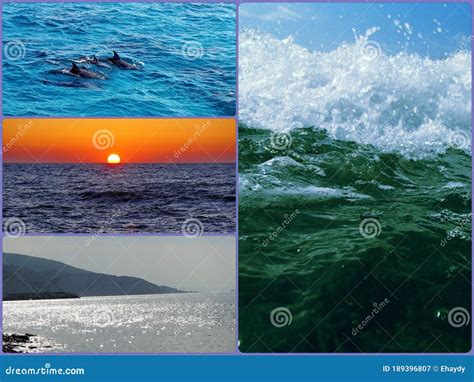 Seashore Collage Stock Photography 19866674