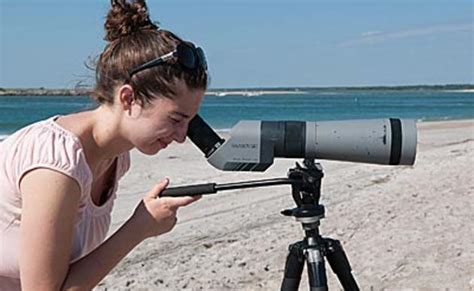 Celebrating Beach Birds Audubon North Carolina