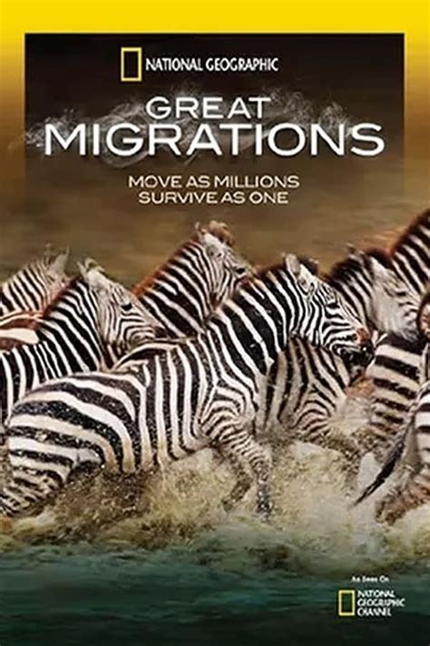 Great Migrations Tv Series 2010 2010 — The Movie Database Tmdb