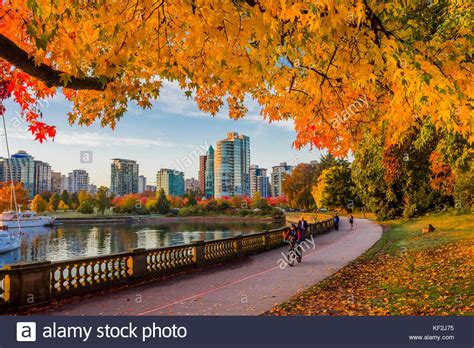 Fall Colour Stanley Park Seawall Vancouver British Columbia Stock