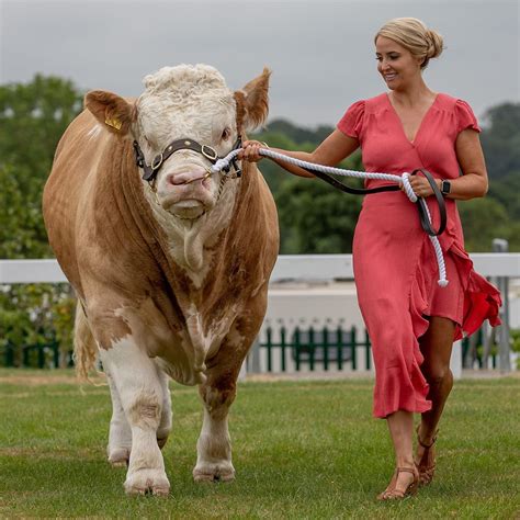 2018 Great Yorkshire Show Branded One Of The Best Ever Uk