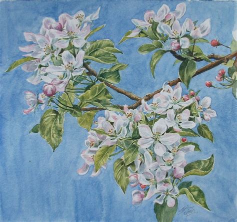 Uniqart Apple Blossom In Watercolour