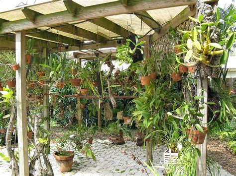 19 Best Orchid Shade House Images On Pinterest Decks Shade House And