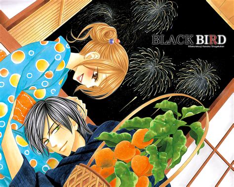 Usui Kyo Black Bird Manga Wallpaper By Sakurakoji Kanoko 614723