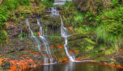 Lancashire England Waterfalls Crag Moss Hd Wallpaper Rare Gallery