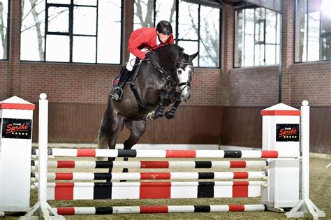 Who is the breeder of hickstead white stallion? Hickstead White - Gestüt Sprehe