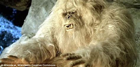 Dna Evidence Suggests Yetis Are Asian Bears Or Dogs Daily Mail Online