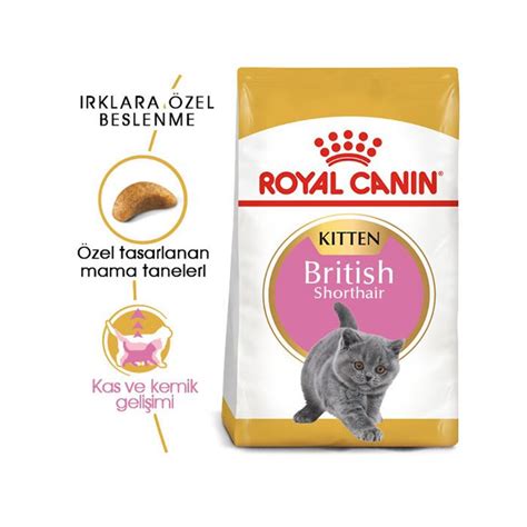 Royal Canin Kitten British Shorthair Yavru Kedi Maması 2kg Satın Al