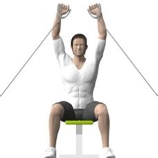 Like to work out with cables? Cable Shoulder Exercises