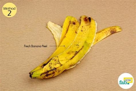 Banana Peel For Warts Things Need Warts Remedy Banana Peel Uses