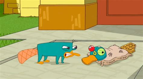 Perry Perry The Platypus Photo 27585816 Fanpop