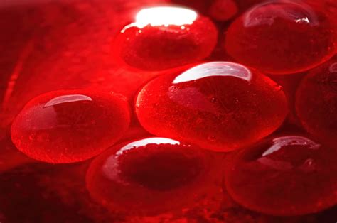 Red Jelly Like Globules Red Jelly Red Jelly