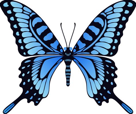 Butterfly Png Transparent Background Png Play