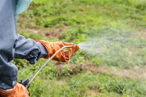 The time and effort becomes less and less over the years and eventually will become maintenance. 11 Ways to Kill Weeds Without Using Poisonous Roundup