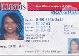 Illinois Physical Therapy License Photos