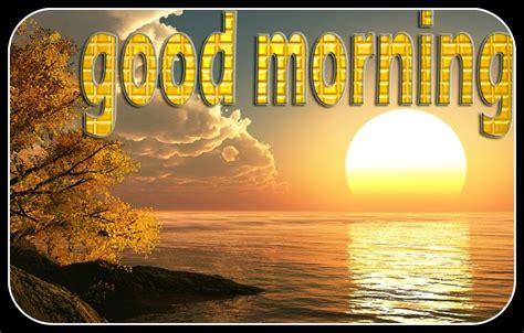 Good Morning Wishes Pictures Images Page 72