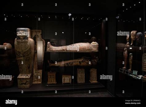 warsaw warsaw poland 4th may 2021 the pregnant mummy is seen on display at the national