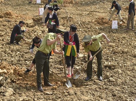 Trí dũng/ttxvn) các đồng chí lãnh đạo đã cẩn cáo trước anh linh các vị liệt tổ, liệt tông về những kết quả xây dựng và phát triển đất nước trong năm 2020. Tổng Bí thư, Chủ tịch nước Nguyễn Phú Trọng phát động Tết ...