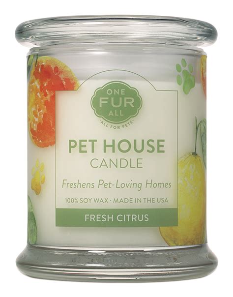 These thicker candles surrounded by festive candle rings can provide an easy centrepiece during holidays or special dinners. One Fur All's Pet House Candles
