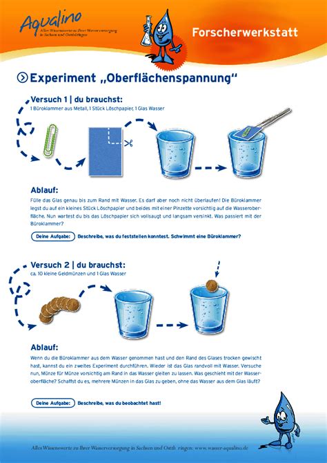 Arbeitsblatt Experiment Oberflächenspannung Kindergarten Portfolio
