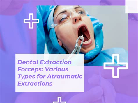 Extraction Forceps Types For Atraumatic Extractions By Tbs Dental On