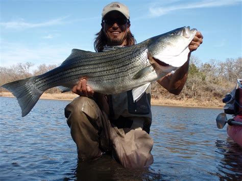 Shane Davies' River Run Guide Service. Guided kayak and canoe fishing