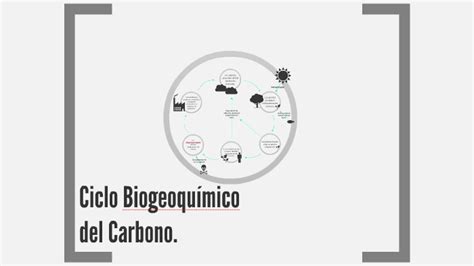 Ciclo Biogeoquímico Del Carbono By Sol Graciano