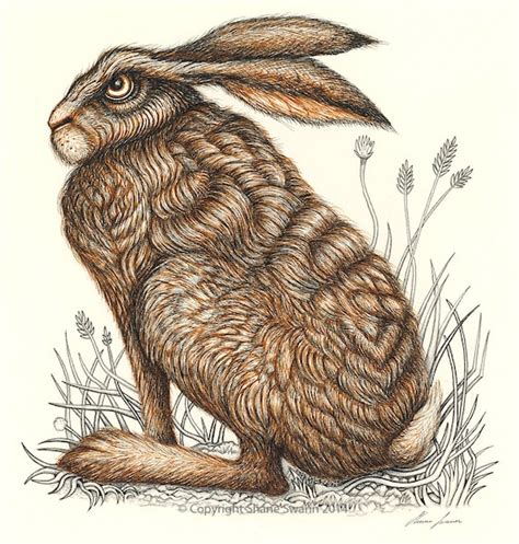 Mad March Hare A3 Print Hare Print Hare By Illustrationsbyshane