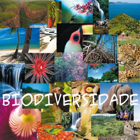 Por Que A Biodiversidade é Importante Brasil Blogado