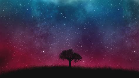 Download 1920x1080 Lonely Tree Starry Sky Night Cosmos