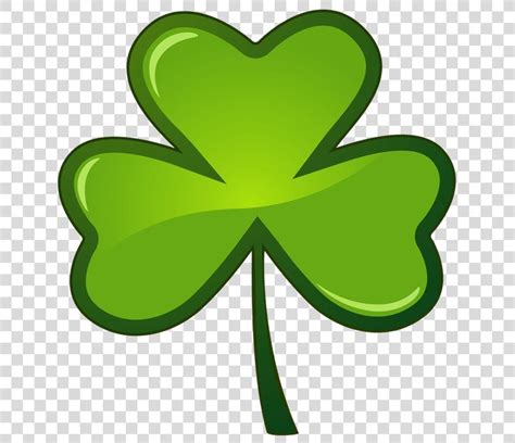 So, what are the symbols and traditions of this celebration? Saint Patricks Day, Plant Symbol PNG - shamrock, clover, fourleaf clover, green, leaf in 2020 ...