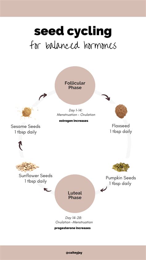 The Ultimate Guide To Seed Cycling For Hormone Balance Caitey Jay