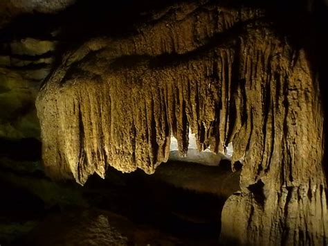 Grand Avenue Tour Mammoth Cave National Park 2019 All
