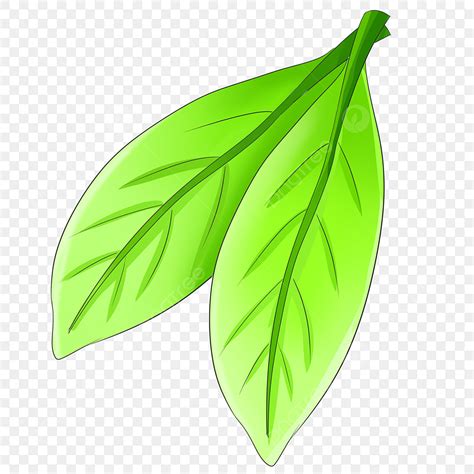 Green Leafes Hd Transparent Green Cartoon Leaf Illustration Two