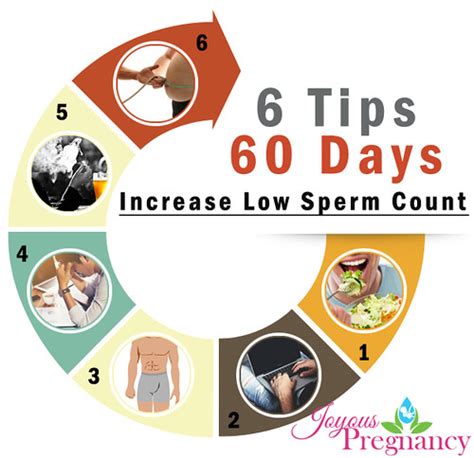 6 Tips 60 Days To Increase Low Sperm Count And Motility Flickr