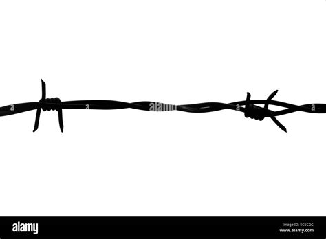 Barbed Wire Isolated Stock Photo Alamy