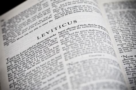 Book Of Leviticus Introduction A Guide For Holy Living