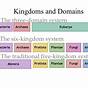 Domains And Kingdoms Worksheet Answers