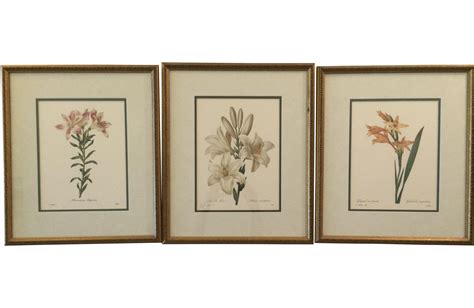 French Vintage Framed Botanical Prints Set Of 3 Chairish